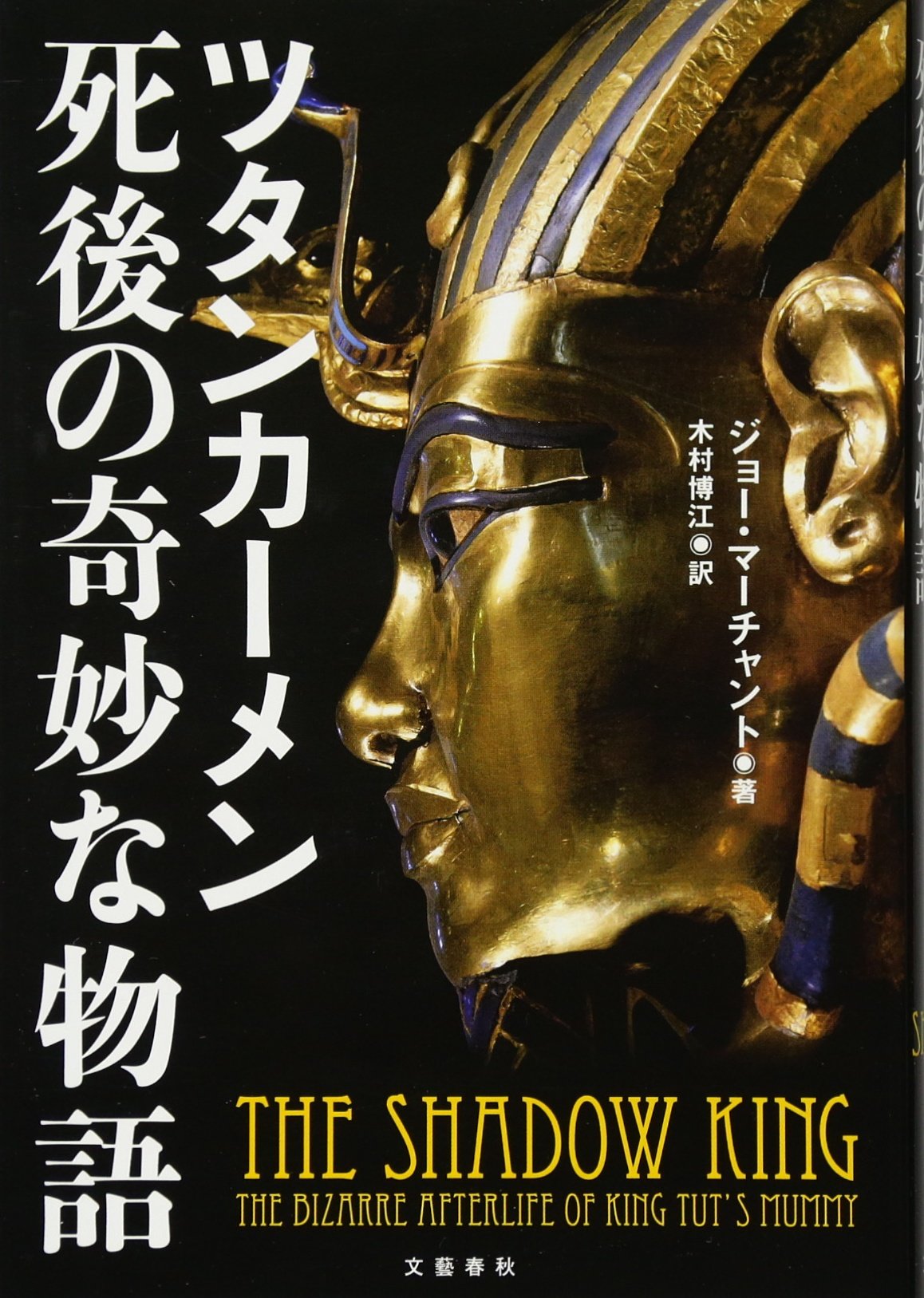 徹底解明　ツタンカーメン　死の真相［DVD］（DVD-ROM） ヨドバシ.com - 徹底解明 ツタンカーメン 死の真相 (ナショナル